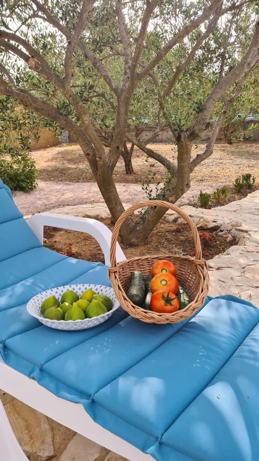 Villa Bubica- Cozy Holiday Home In Rural Area With Pool Stankovci  Екстериор снимка