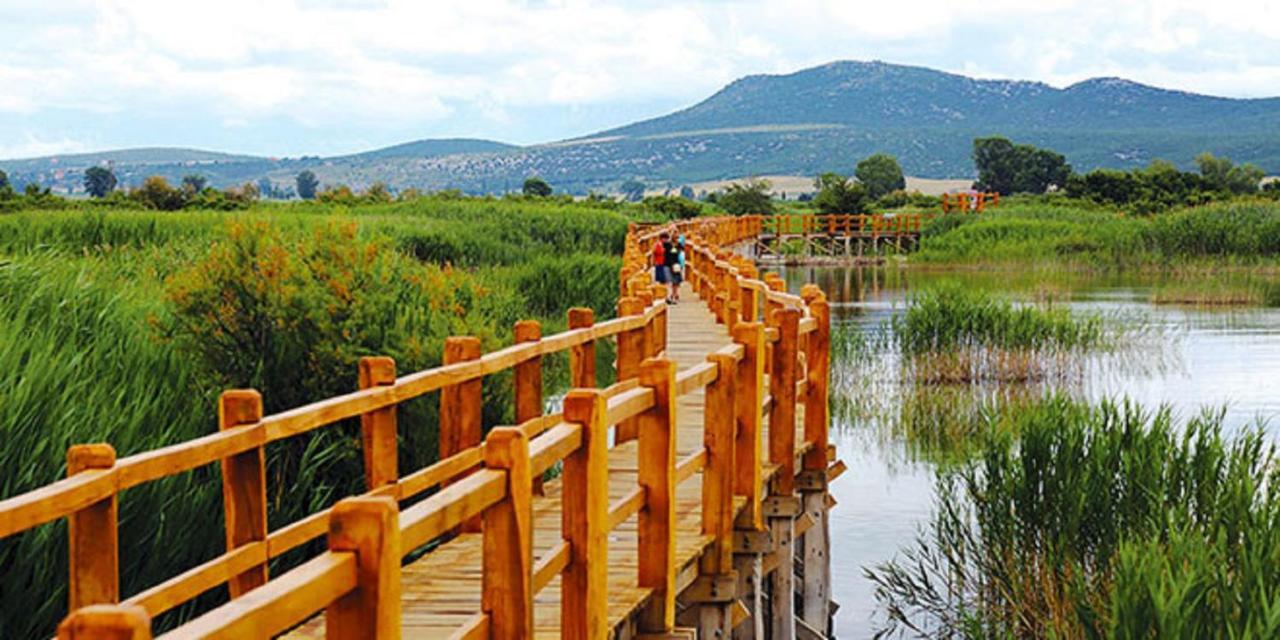 Villa Bubica- Cozy Holiday Home In Rural Area With Pool Stankovci  Екстериор снимка